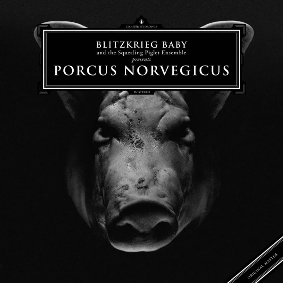Blitzkrieg Baby – Porcus Norvegicus