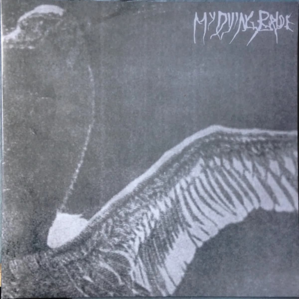 My Dying Bride – Turn Loose The Swans