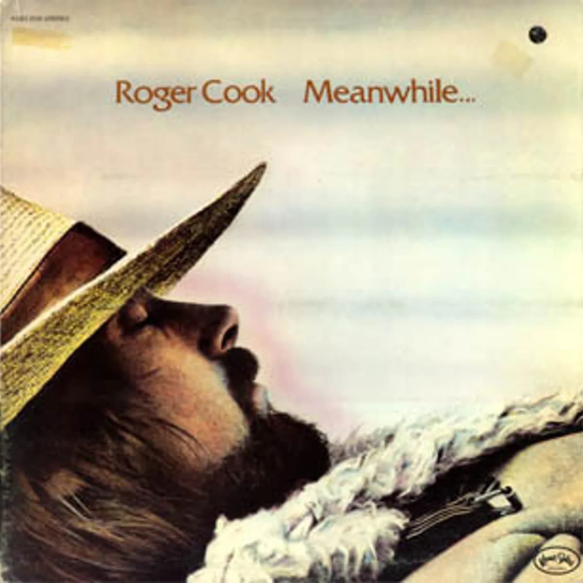 Roger Cook – Meanwhile Back At The World