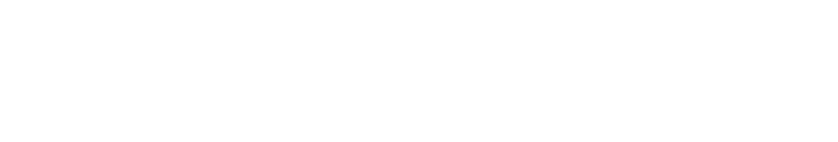 Wordmark: White